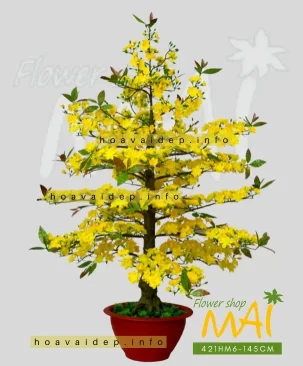 Chậu mai giả 145cm trưng Tết 421HM6