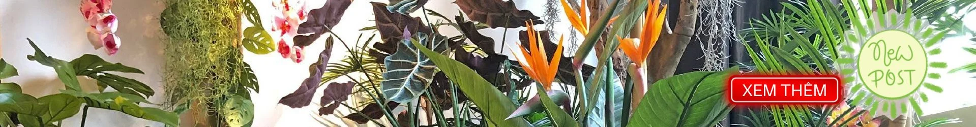 Hoa vải đẹp MAI