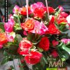 Hoa hồng treo 604HV