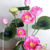 Bụi hoa sen lụa Thái cao 70 cm 664HSL