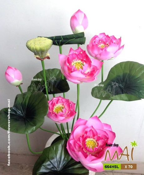 Bụi hoa sen lụa Thái cao 70 cm 664HSL