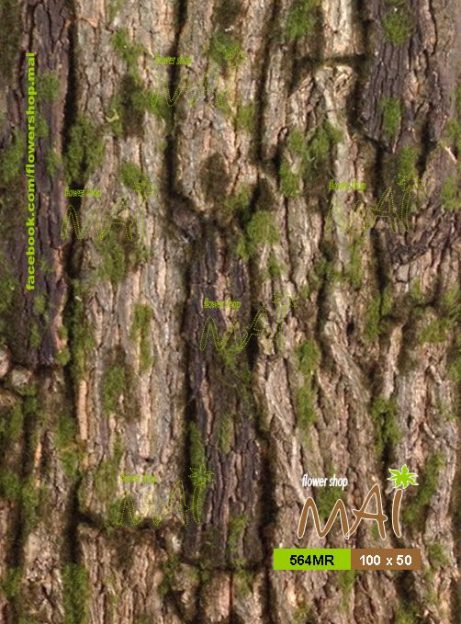 Mảng gỗ rêu phong 564MR
