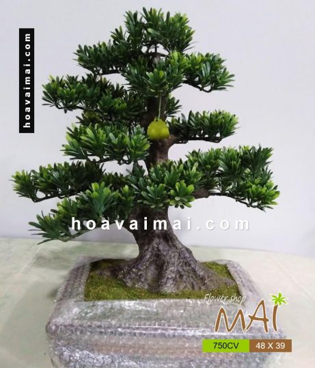 Cây tùng la hán bonsai bằng nhựa 750CV