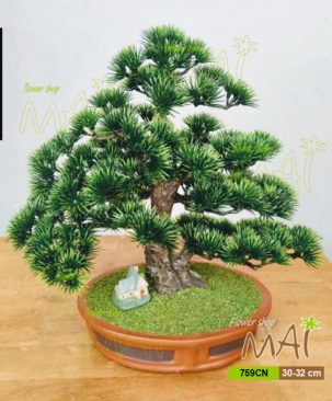 Cây tùng bonsai giả nhỏ để bàn 759CN