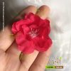 Hoa đào đỏ 415HB2