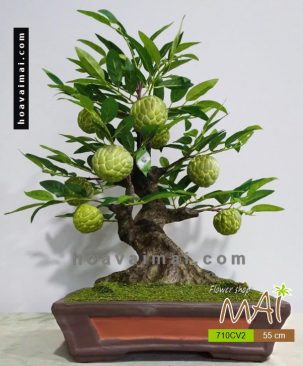 Cây na bonsai giả 55cm 710CV2