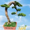 Cây tùng bonsai giả thân gỗ lũa 221BST